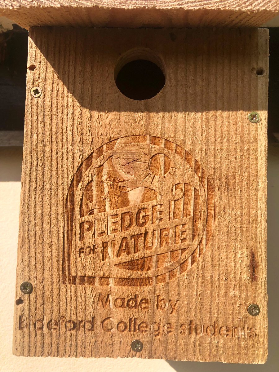 skernappledore's tweet photo. Our trophy bird box is up! Thank you to @PledgeforNature &amp; @NDevonBiosphere for the Business Nature Award, and thank you to @bidefordcollege students for creating the bird box! 

🐣🏠

More info on our award and the #PledgeForNature scheme here: https://t.co/2puUoKCHgk https://t.co/M0r4IDZoZP