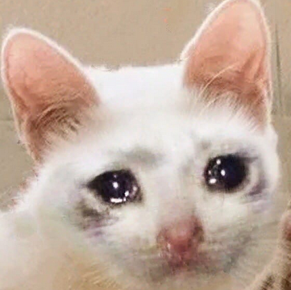 То гребаное чувство, когда тебе прямо срочно - срочно надо ответить на сообщение, но ты ну никак не можешь найти ИМЕННО ЭТОТ смайлик или ту самую картинку из сохраненок.