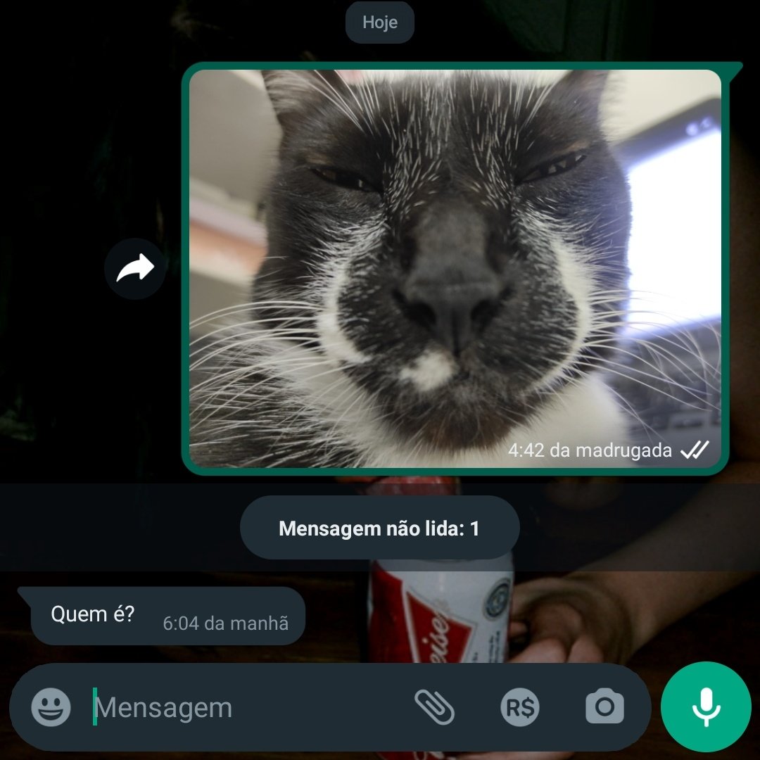 sonic gordo tweet media