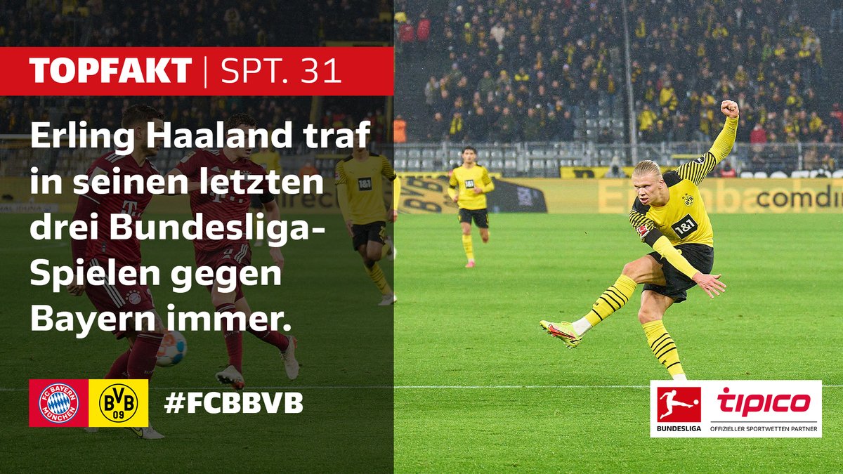 Der @Tipico_de-#TopFakt: Erzielt @BVB-Star @ErlingHaaland bei #FCBBVB erneut mindestens ein Tor? 🤔

Die Fakten-Vorschau ➡️ bit.ly/36qmpCO