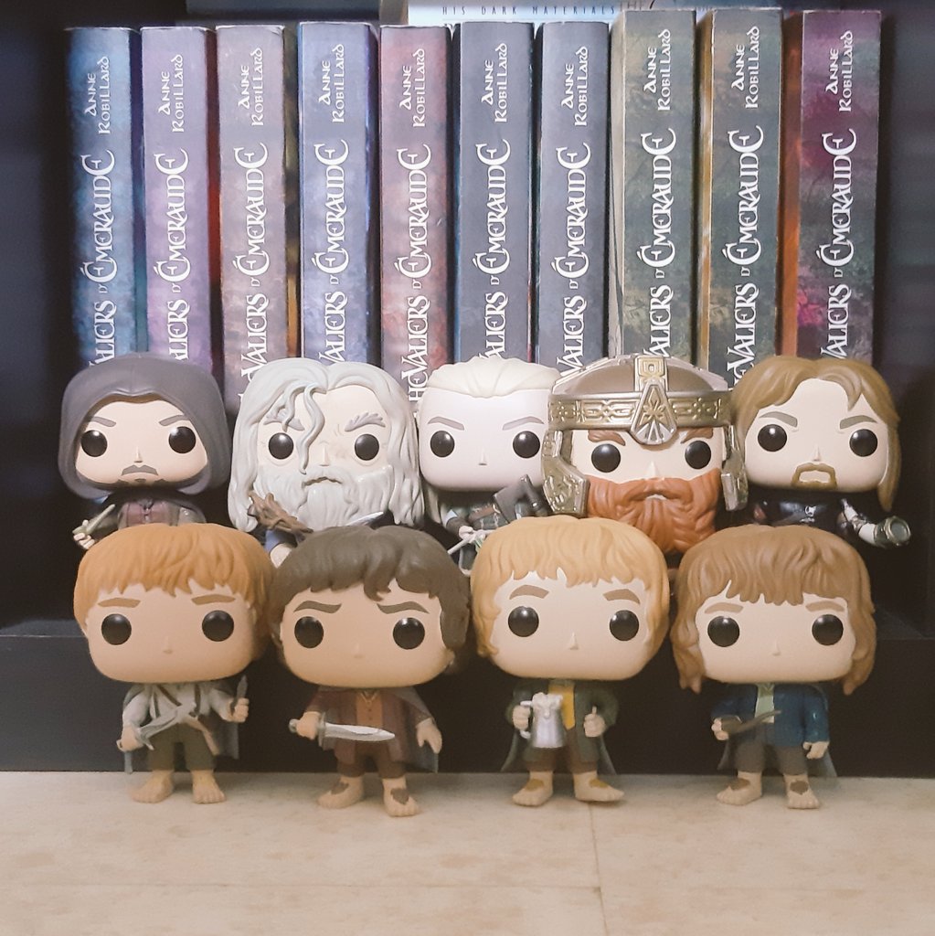 Nine companions. So be it. You shall be the fellowship of the ring