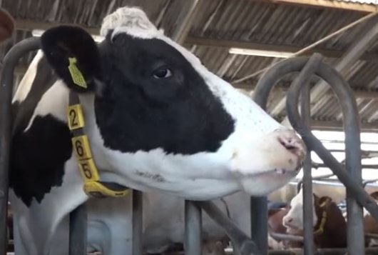 mijnkringloopwijzer.nl/actueel/nieuws…