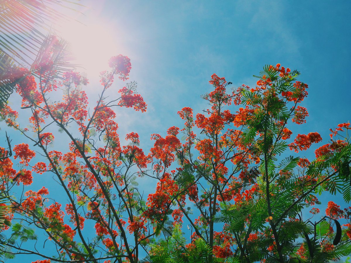 Midnightz tweet media