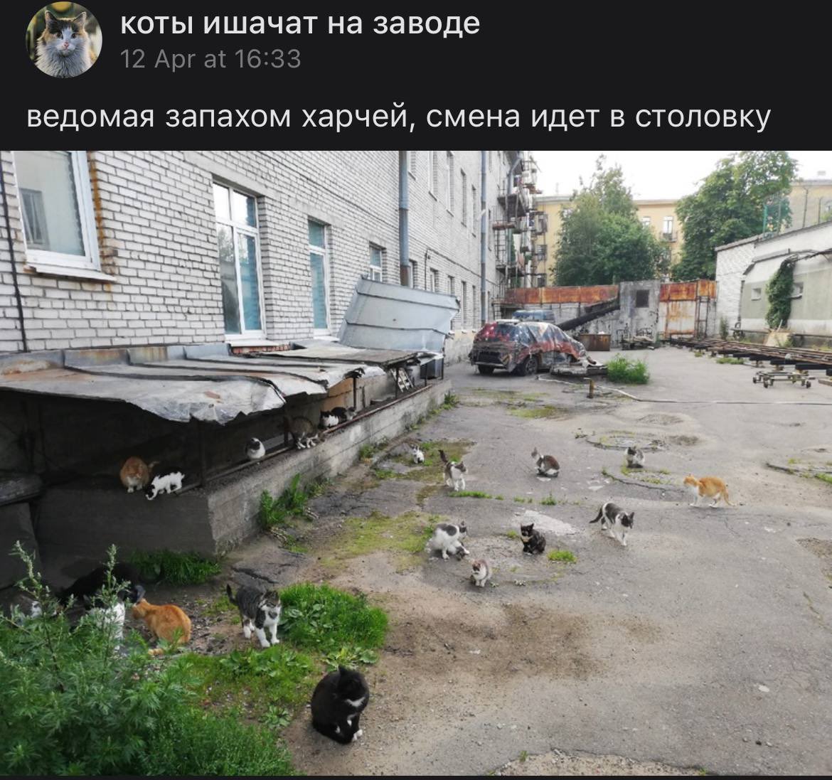 PashkaSu's tweet photo. самый крутой паблик во всём интернете https://t.co/wV9p6qtKDQ