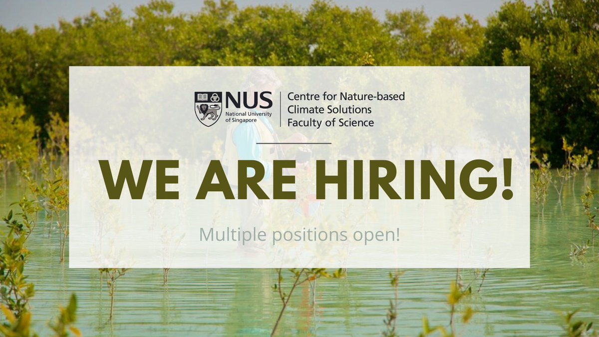 NUSCNCS's tweet image. 📢 We are #Hiring!

Multiple positions available! Join us in producing policy-relevant science on nature-based climate solutions to address knowledge gaps in Singapore and the Asia-Pacific region 🌏

Find out more 👉🏽 nus.edu.sg/cncs/all-caree…