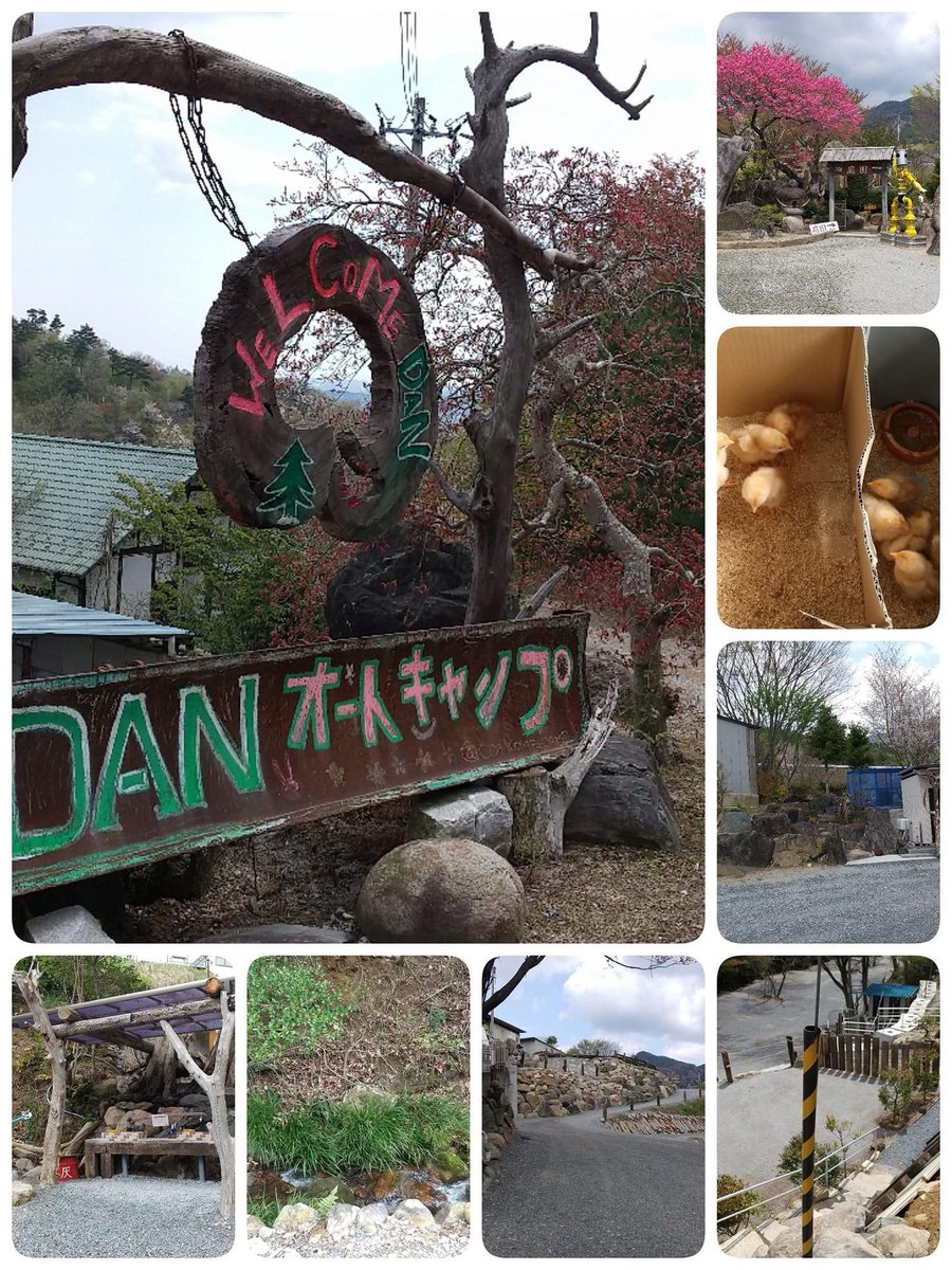 小川町にあるキャンプ場🎄
半年前に知り合いの息子さんが始めたというので、伺いたいと思っていました。
今日、やっと時間がとれ、友人と訪ねることができました。
敷地は2000坪。
車を乗り入れ、キャンプできる区画は22ほどあります。
最新の水洗トイレ、シャワー付き。
（続）