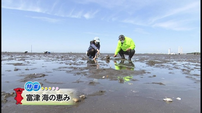 富津海岸潮干狩り22の混雑状況 Gwや時期ごとに解説 季節の情報なび