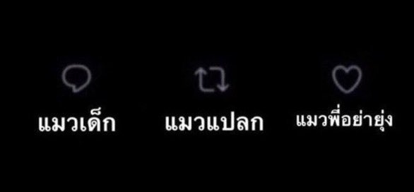 เซฟไว้แต่ลืมเล่น