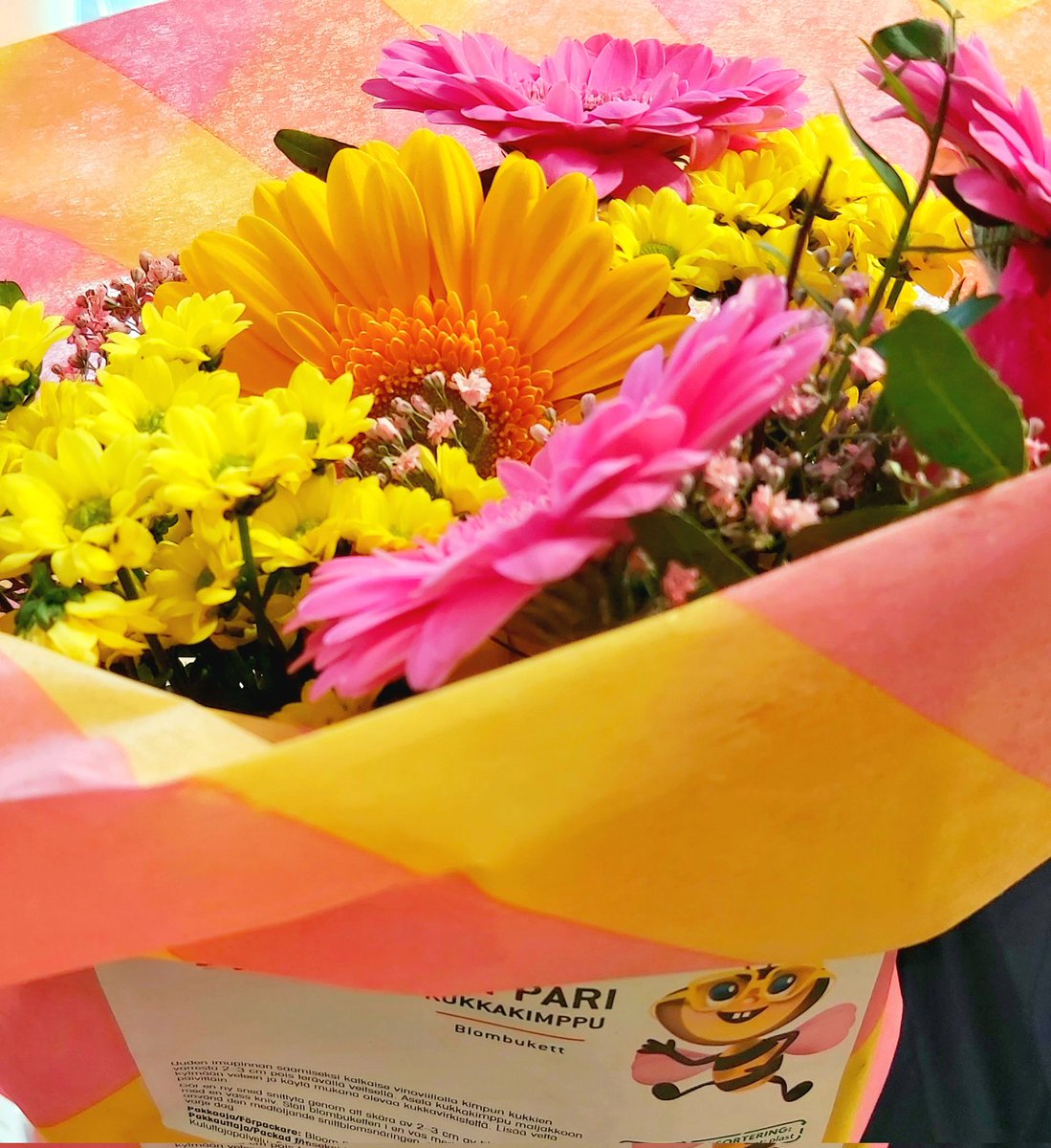 Valoa kohti ☀️ Tänään mieltä voi piristää uudella Pirkka amppari kukkakimpulla 🌸 Sopii kahvipöytään amppari ja toukkis kermajäätelön seuraksi 🍨 
<a href="/kryhma/">K-ryhmä</a> <a href="/pirkkatuotteet/">Pirkka</a>