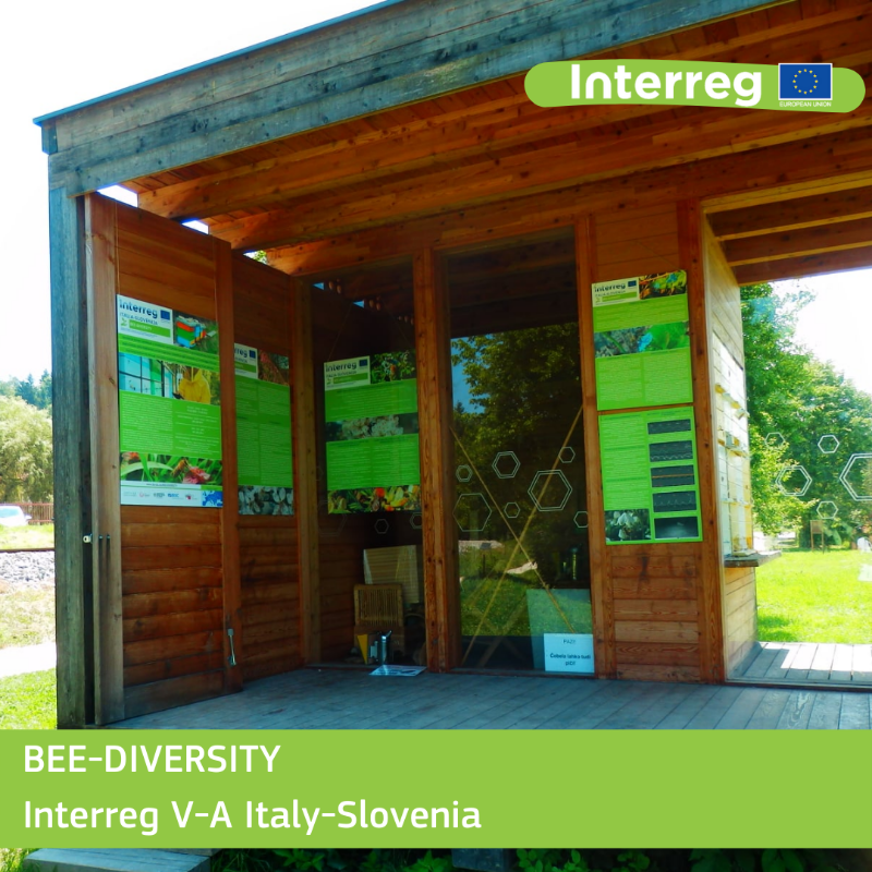 RegioInterreg's tweet photo. #DYK the planet is losing 4.7 million hectares of forests every year – an area larger than Denmark 🇩🇰!
On #InternationalMotherEarthDay, we highlight #InterregProjects leading the way to a more sustainable Europe.
Do you already know them? 👇 👇
#GreenEurope