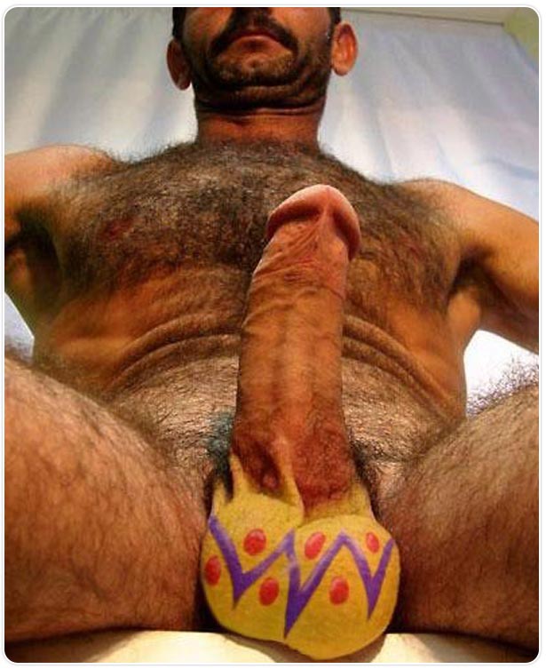 DADBG🐻🇷🇸 tweet media