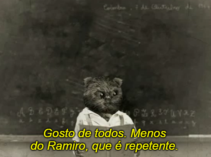 Bruno Aleixo (@brunoaleixo) on Twitter photo 