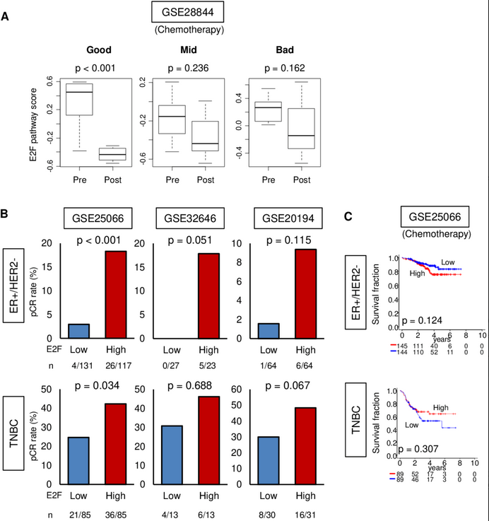 Cells_MDPI's tweet photo. "The #E2F #Pathway Score as a Predictive #Biomarker of Response to Neoadjuvant Therapy in #ER+/#HER2− Breast #Cancer" from Oshi et al.
#cellsmdpi #cellbiology #breastcancer

Full text: https://t.co/oolRFNI7kq https://t.co/Rxw9DhzOWz