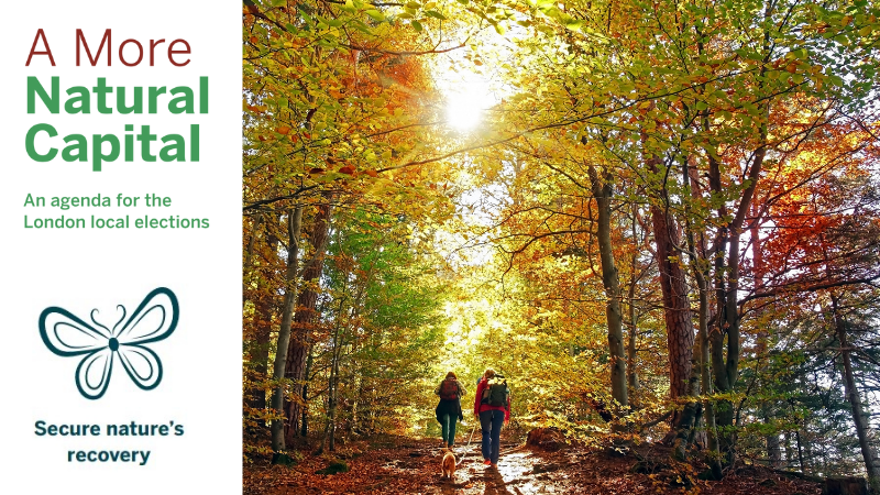 AMoreNaturalCap's tweet photo. Refuse development that would damage ancient woodlands, meadows, hedgerows or veteran trees; reduce the heritage significance of designed landscapes; or result in unacceptable loss of sunlight from green spaces.

#aMoreNaturalCapital https://t.co/Uzw9rPm0Sy