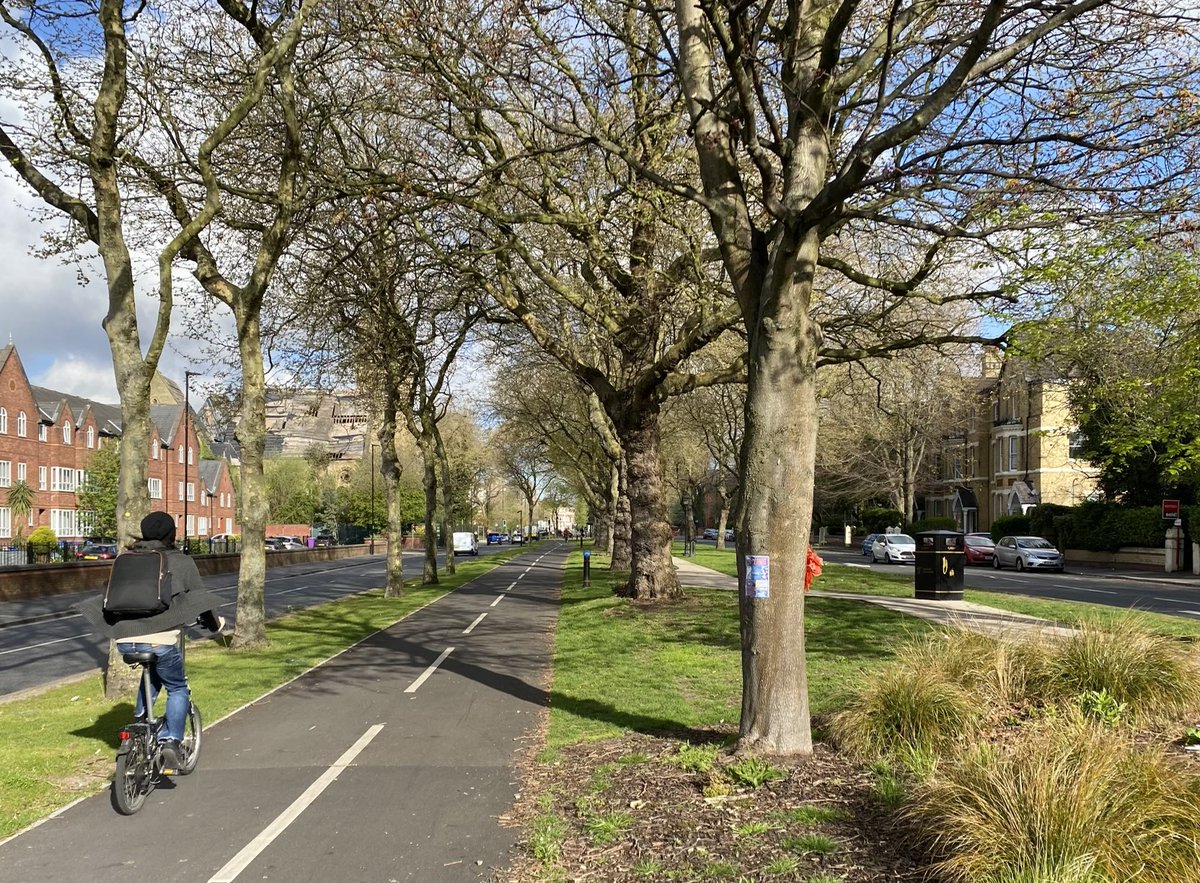 Andrew Thomson tweet media