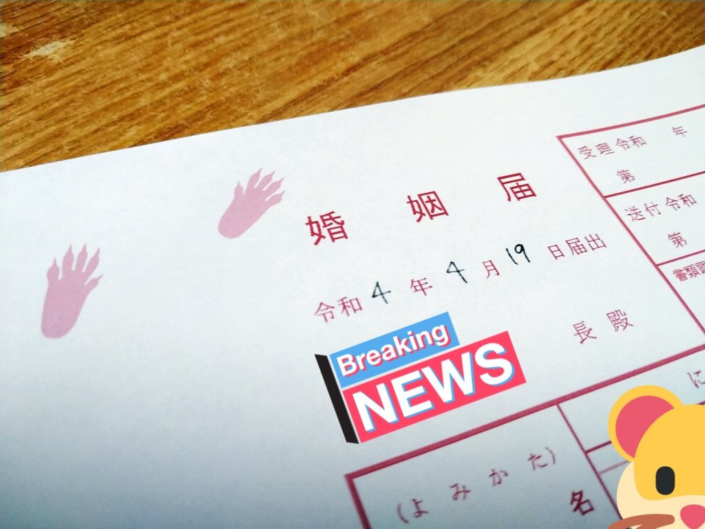 えちょ tweet media