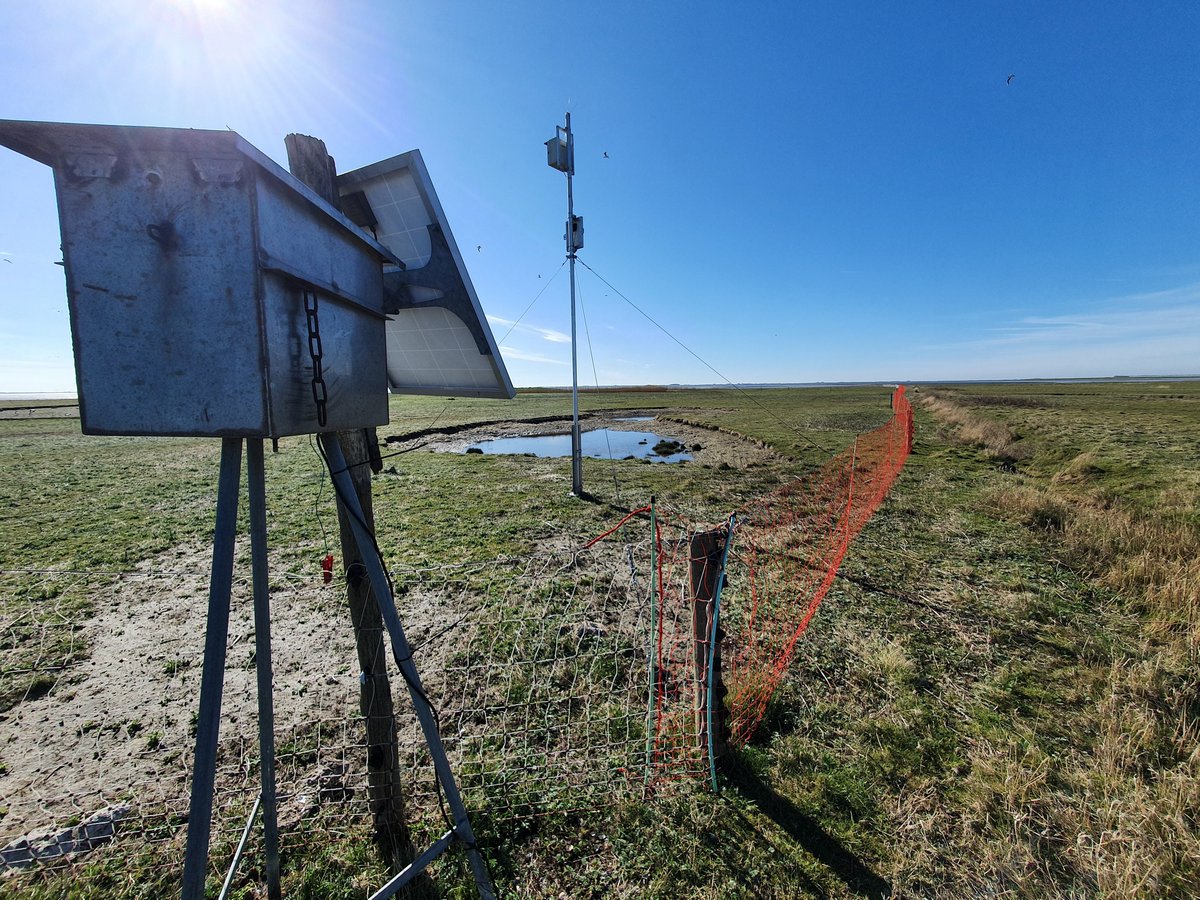 Het Groninger Landschap tweet media