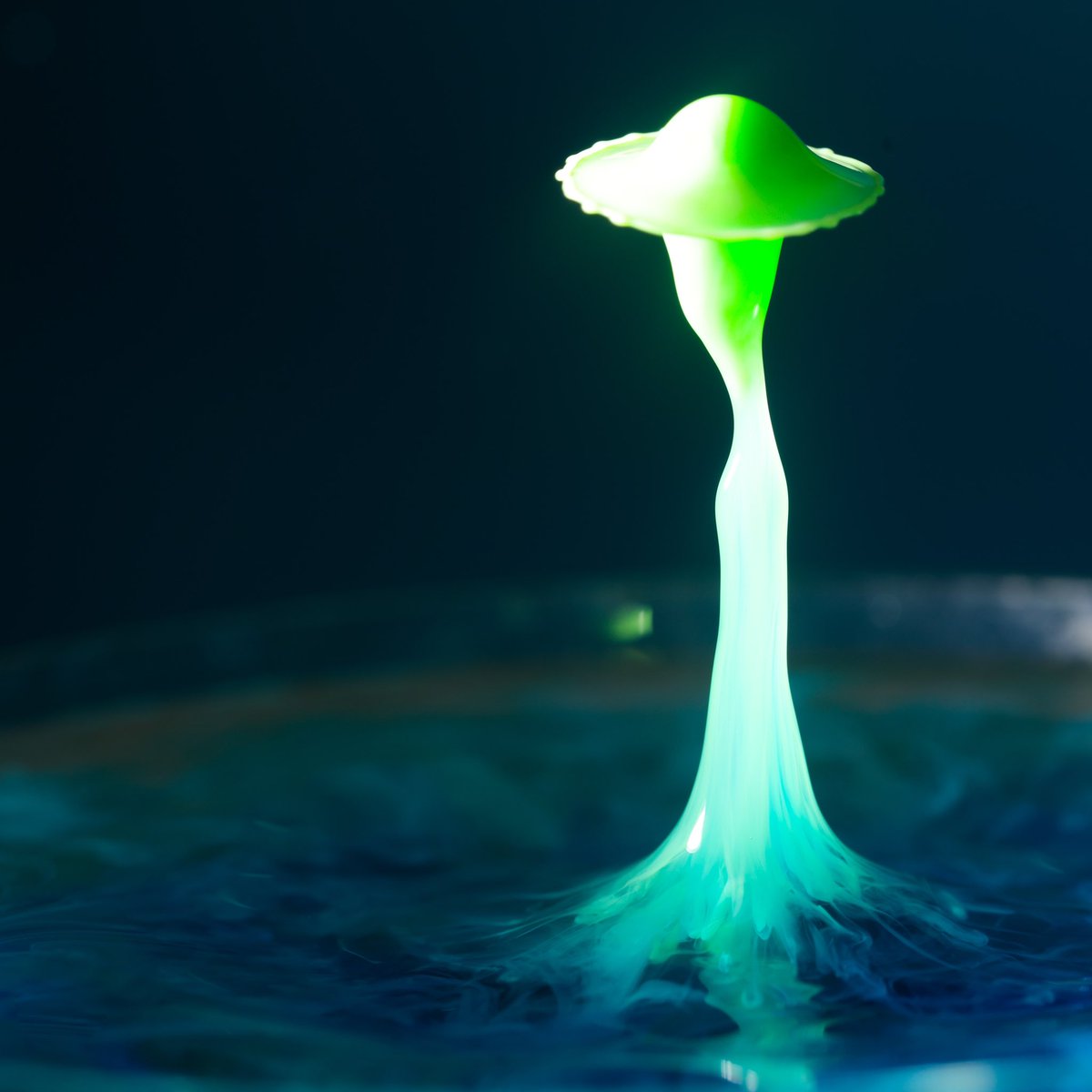 LittleArtPhotag artist tweet media