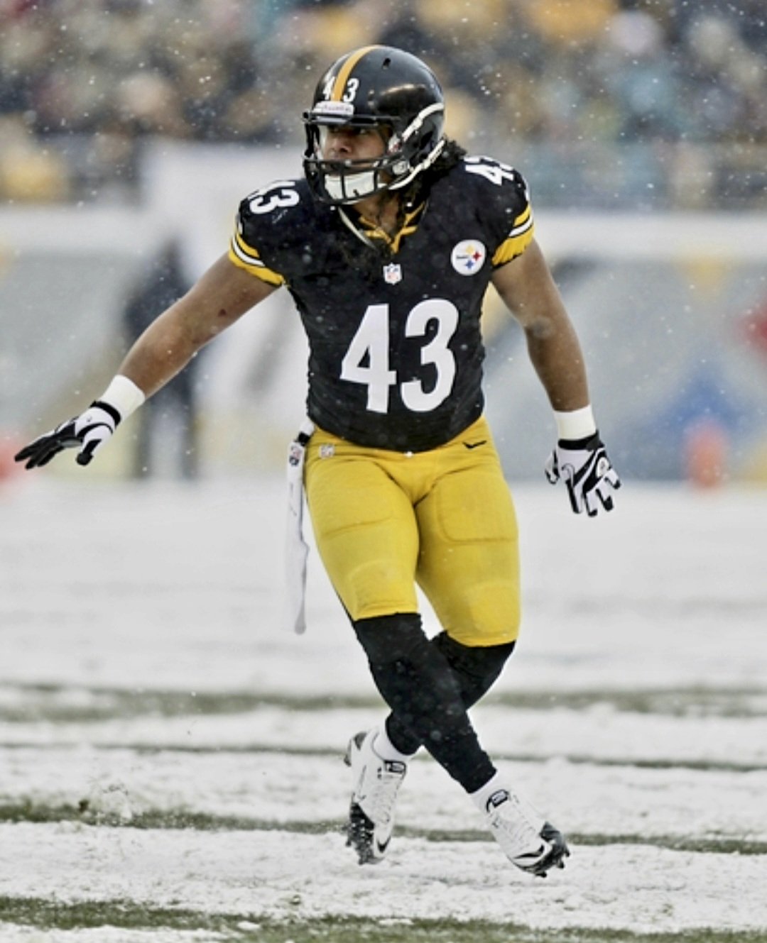    HAPPY BIRTHDAY TROY POLAMALU!!!!  