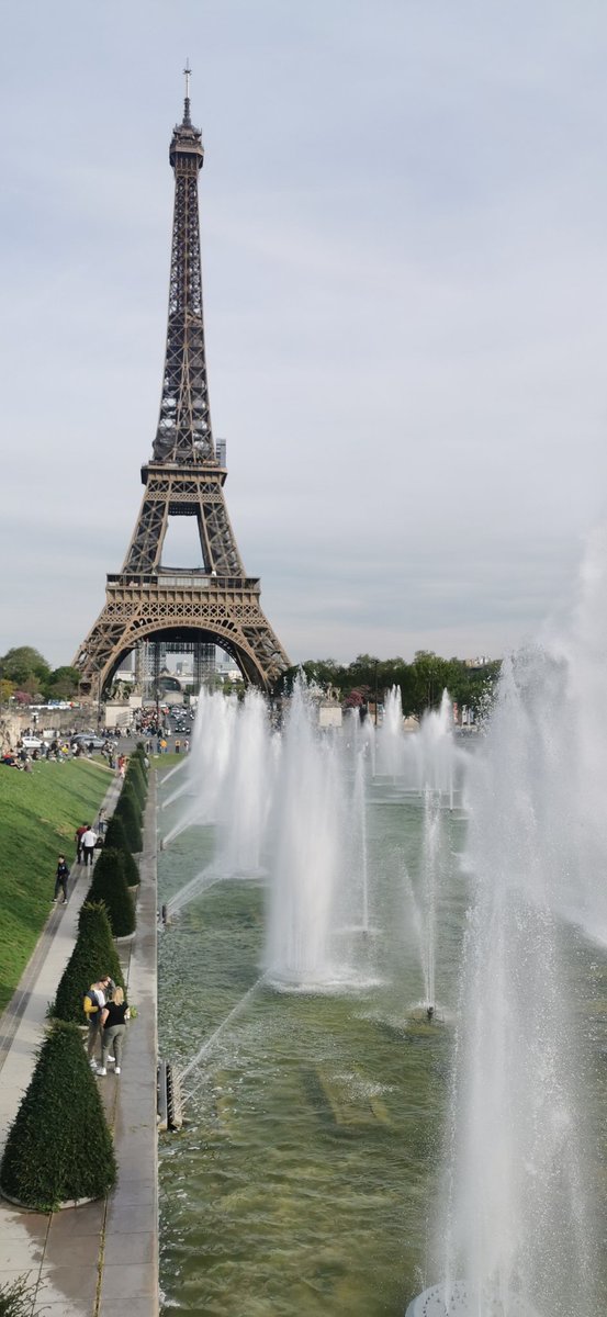 Thornleigh Computer Science tweet media