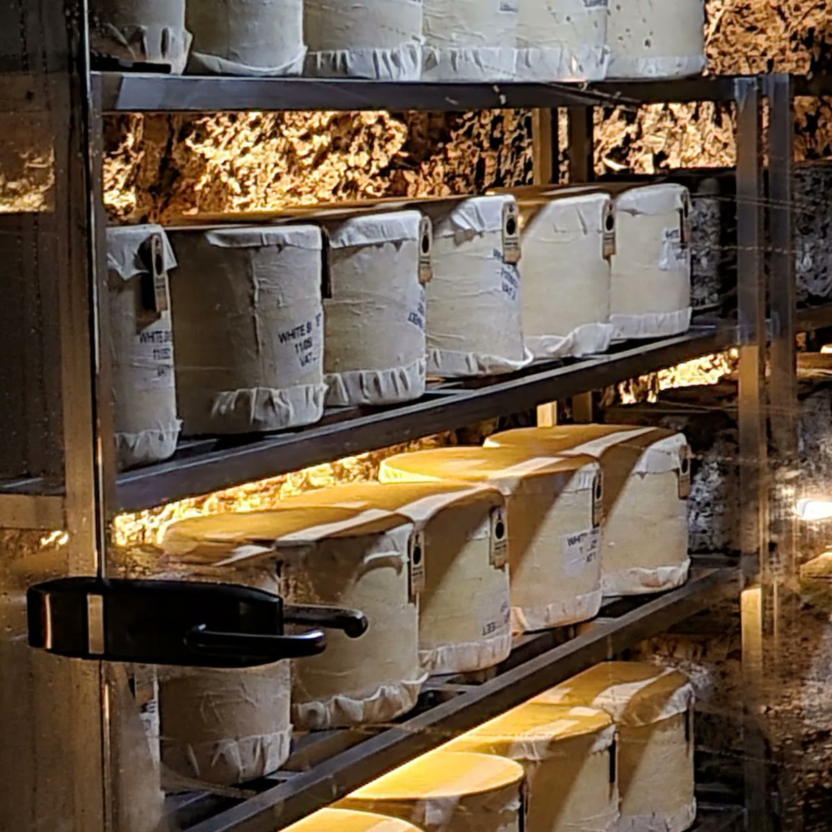 justjeff40's tweet photo. Look at this, I mean take it all in. 🤤🤤 #wookeyhole #cheese https://t.co/SgGEuzpDaE