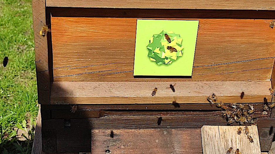 Jetzt ist Zeit für heilenden Frequenzen der #Lichtsprache #Bienen_Energiemotive für eine lichtvolle #FRÜHTRACHT. Bienen lieben Lichtsprache.
lightworkobjects.com/bienen