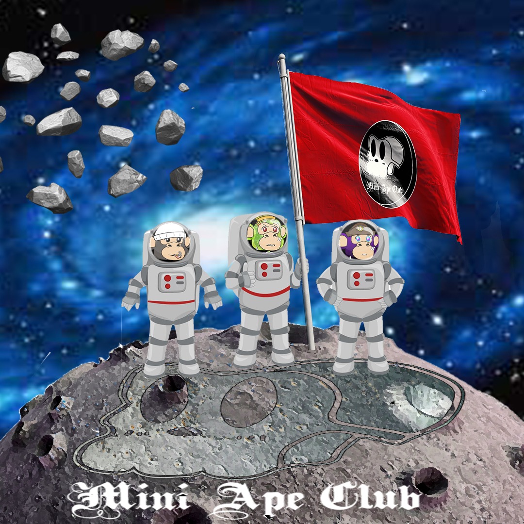 MiniApeClub's tweet photo. @BSCGemsAlert @MiniApeClub https://t.co/StY2784hIk