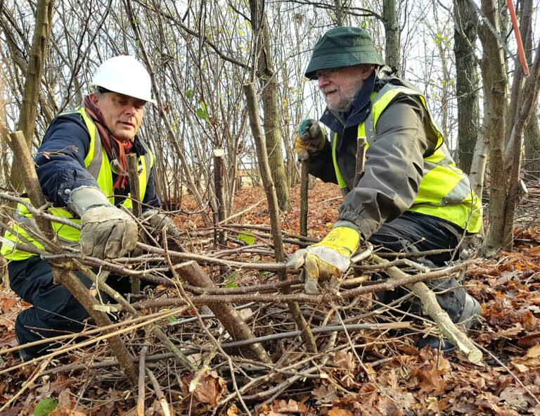 Looking for a new volunteer opportunity this Spring?
Our volunteer database details many groups and organisations who may be offering just the thing for you.  Take a look...
landofthefanns.org/join-in/