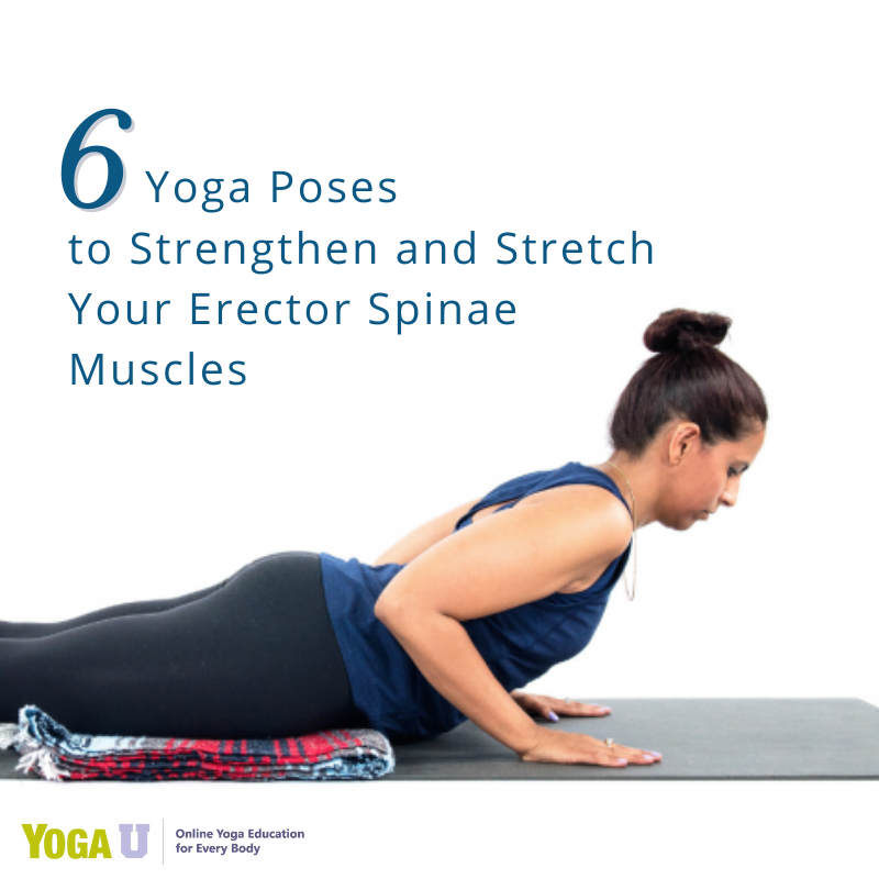 YogaUOnline's tweet photo. Add these strengthening and stretching poses to your yoga practice and keep your erector spinae muscle group healthy and happy, and in turn, your whole back healthy and happy

https://t.co/pk1wKkS3io

#yogabasic #yogaforback #yogaforspine #backhealth #spinehealth #spine #backpain https://t.co/qIAGUgTdSK