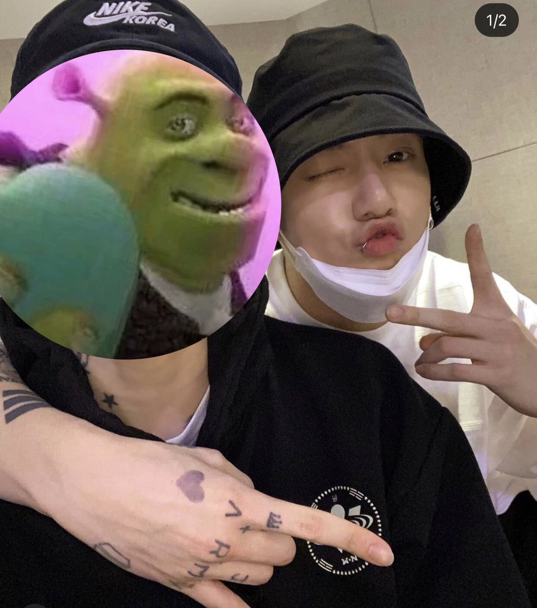 minyoobini's tweet photo. Omg 😨😨😱😱😱 jungkook and shrek https://t.co/4pFvp2xrDW