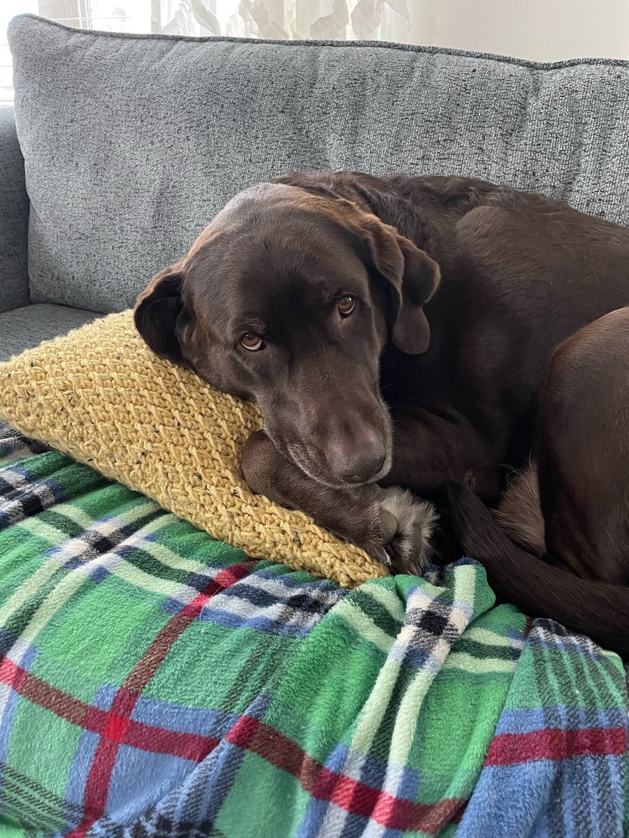 Julie Holt tweet media