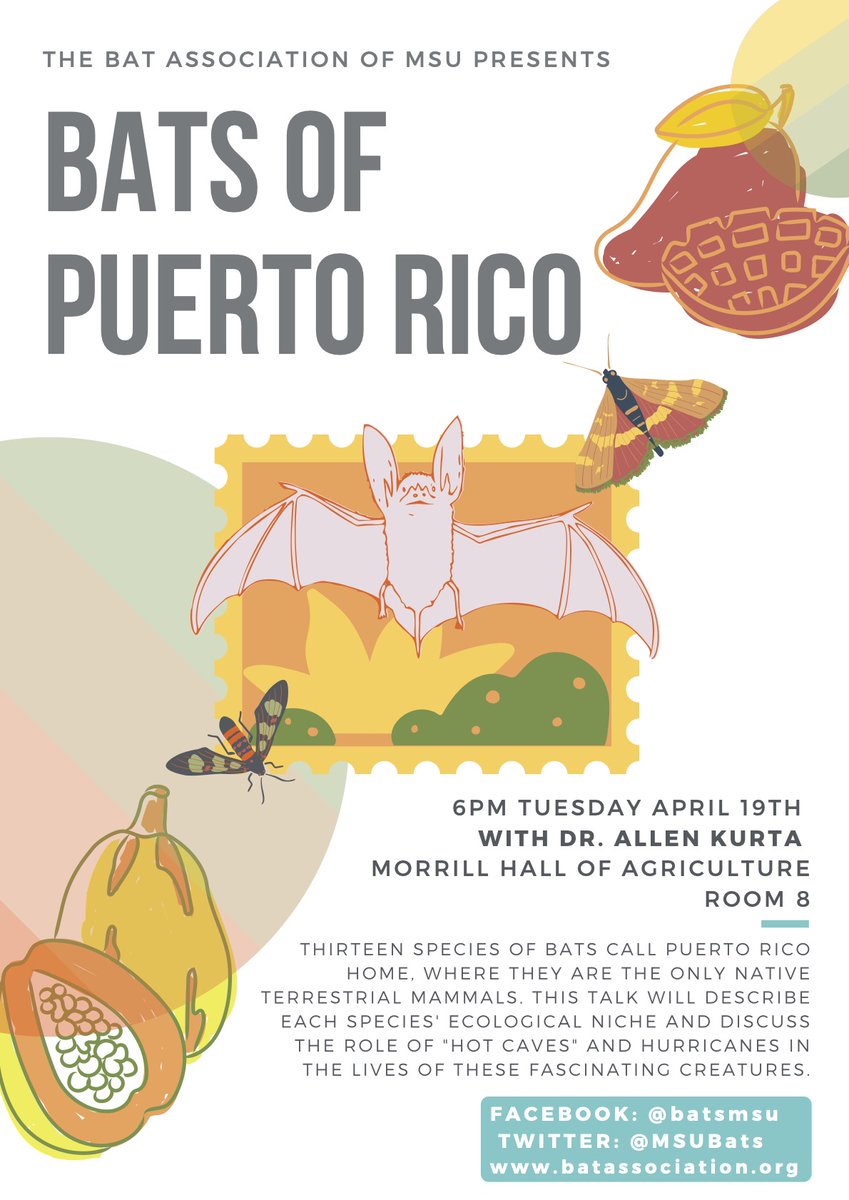 MSUbats's tweet photo. If anyone doesn't want to miss our talk tonight on The Bats of Puerto Rico, but cannot make it in person, please feel free to join us at the following Zoom link:

Join Zoom Meeting
https://t.co/7dVZm8FEdv

Meeting ID: 941 3045 0314
Passcode: BAM https://t.co/Ai9Oa2Jp3f