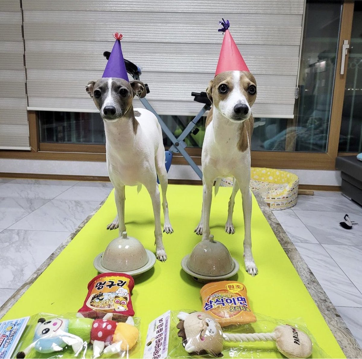 Minkookearn4's tweet photo. 2ขวบแล้วหรอ “แพงงี่ซงงี่” มีเค้กจิ๋วด้วย ของขวัญวันเกิดก็คือของเล่น ทำไมบ้านนี้น่ารักจังเลย สุขภาพแข็งแรงนะ กินเยอะๆ 🥳🎂🎉 https://t.co/zbFZ51G6yf