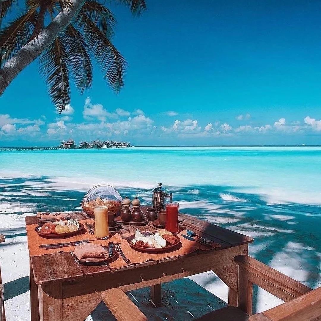 HNMAdventures's tweet photo. POV you wake up to the sound of waves crashing, the tropical breeze blowing, and sun rays peeking in ☀️ 🌊 🌴. It's your honeymoon and life feels like a dream. Honeymoon Adventures can make your dreams come true. Register Today: https://t.co/b76K1s7dtf #HoneymoonAdventures https://t.co/KSwKY0iqay