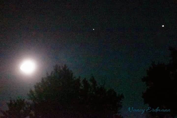 NancyErdmann10's tweet photo. A summers night looking in the sky in Ironwood, Michigan.
#skyphoto #moon #Moonshot #NaturePhotography #TravelTuesday #Michigan #PureUP #SomewhereSpecial https://t.co/GQ4lrhhZcv