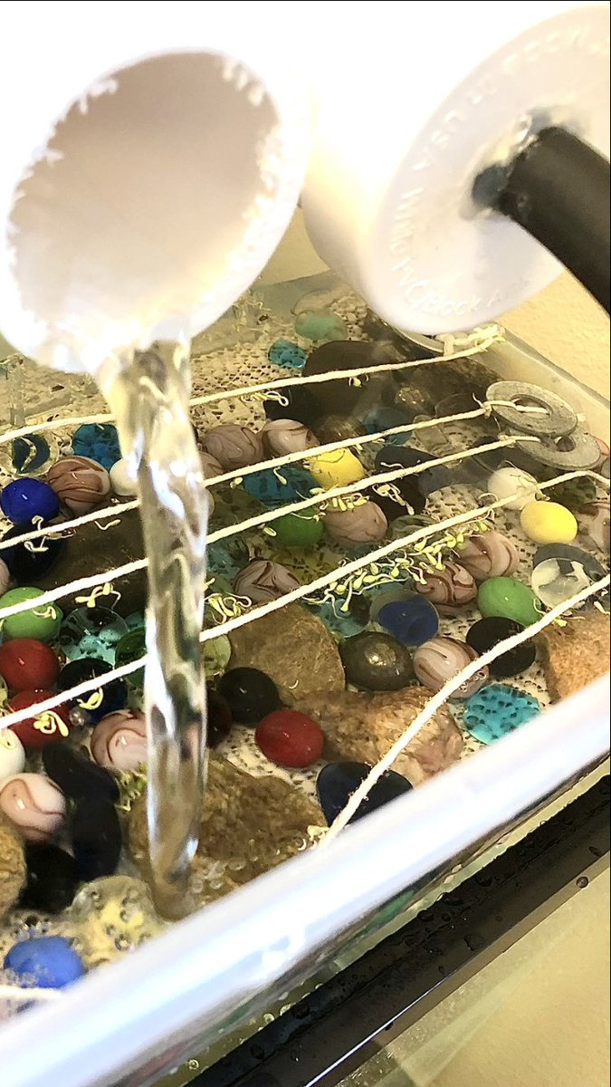 CVCSMiller's tweet image. The strings tied to washers help catch sprouting lettuce seeds so they don’t wash out into the tank. Eventually the hydroponic sprouts will affix to the mat....we hope
#BMAP #StudentDesigned