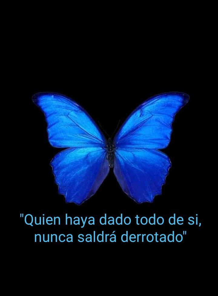willyjafet's tweet photo. https://t.co/K9xwRapTVn