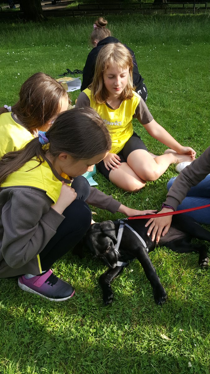 One of Penny's first outings with the Brownies <a href="/GirlguidingBath/">Girlguiding Bath</a>  
Definitely our new mascot!