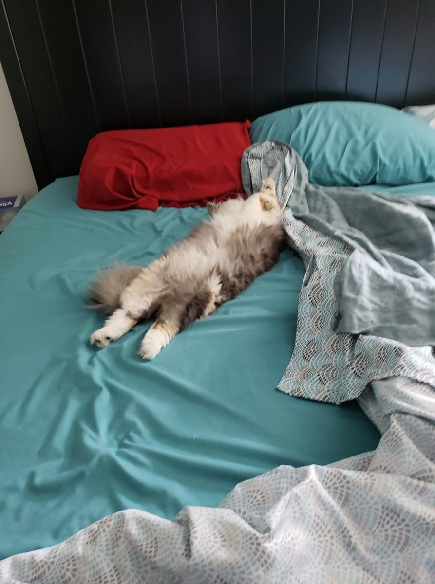 <a href="/relicofthepast/">Relic of the Past Podcast</a> <a href="/PenanceRPG/">Penance RPG 🐉 🏳️‍🌈 🐀</a> <a href="/TreasonNo/">Gunpowder, Treason, No Plot</a> <a href="/WebWitch81000/">👾 Nearly Blind Nut is Back?! 😹</a> <a href="/tofilium/">Shrekussy (they/ze)</a> <a href="/Muddlin_Through/">Muddlin Through</a> <a href="/StackODice/">Stack 🌻 Dice</a> <a href="/AnitaBridges2/">Anita Bridges</a> <a href="/xb0shi3x/">Brandalf the Blonde</a> <a href="/tykashow/">🐋</a> <a href="/DeGustafson/">Derek Gustafson (he/him) is Catface Games</a> @lionsoflegend <a href="/pwp_dnd/">🪄Power Word: Play🔥</a> <a href="/adora_belleD/">🇬🇧🇳🇿</a> @DangerDames @TheDice_Casters I was going to take a nap but my bed was already occupied. Looks like me after girls night out