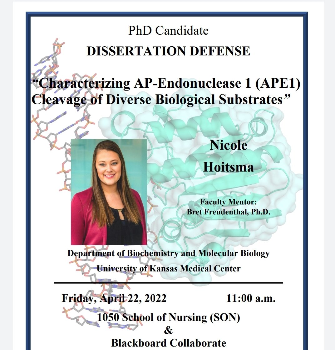 Freudlab's tweet photo. 📢 Join us this Friday at 11am CT, to hear @NicoleHoitsma defend her thesis on APE1! It will be a great talk and her last one before her exciting next step @CUBoulder. #proudPI #excited 🧬🔬🎉👩🔬 DM for a link. https://t.co/VQKfHNTxb0