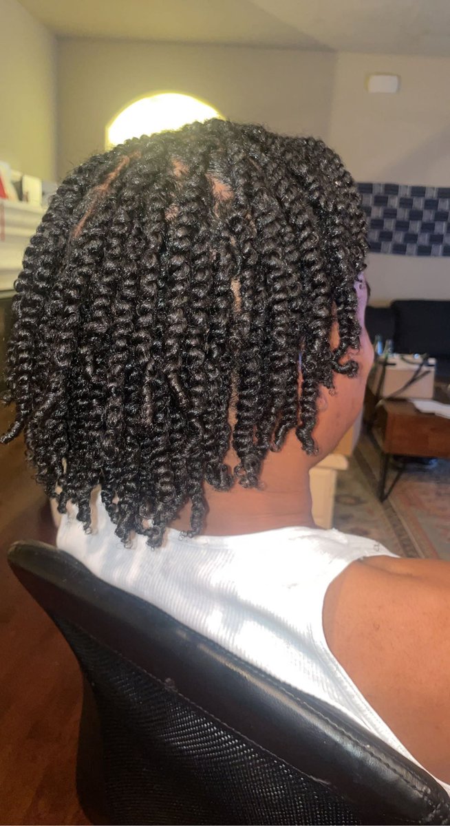 Mens 2-Strand Twists! #PVAMU