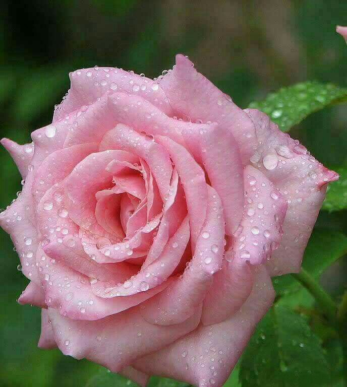 Life is short ....

            Say I love you 💗

                         More often ....