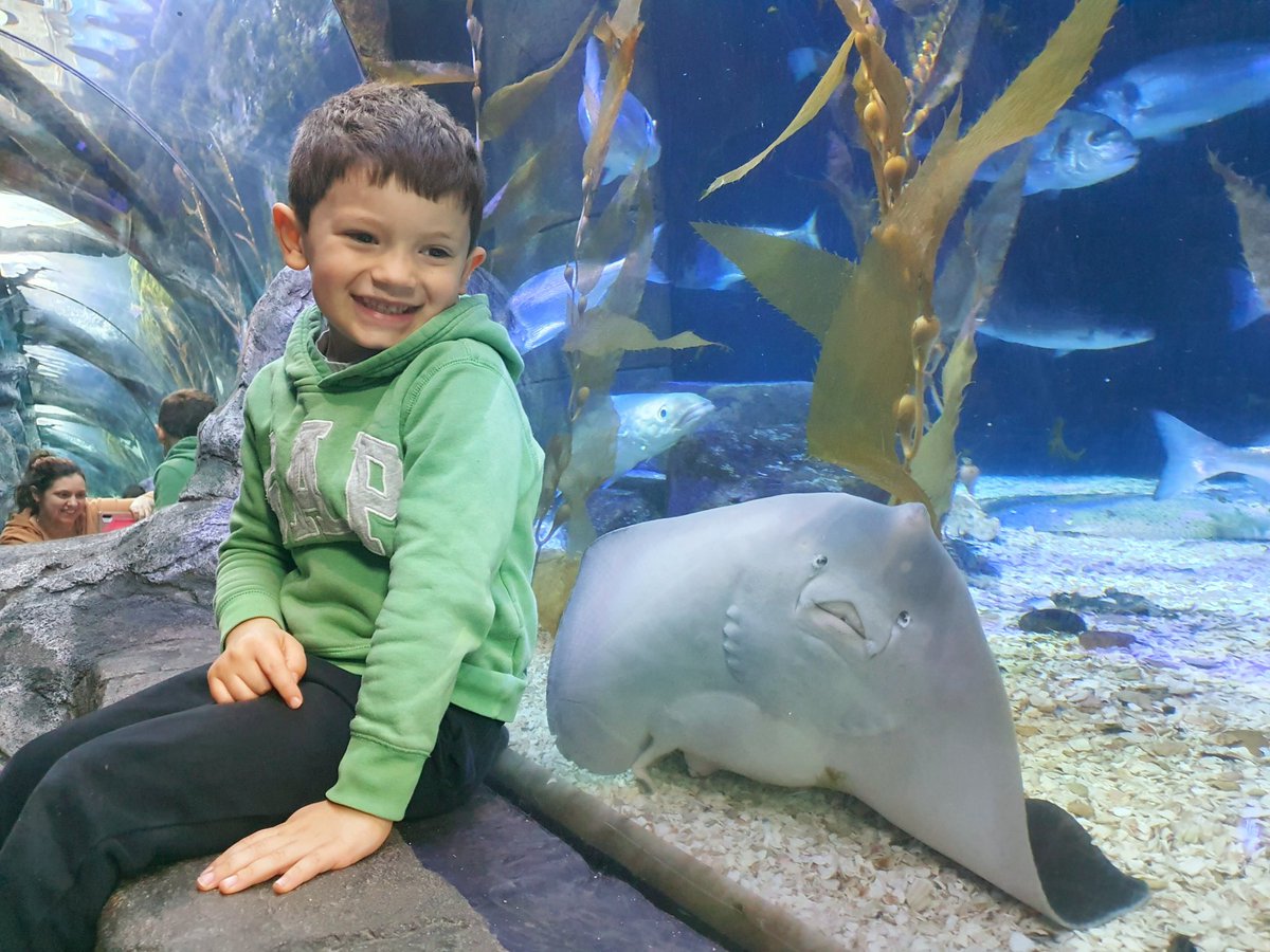 Georgina Young tweet media