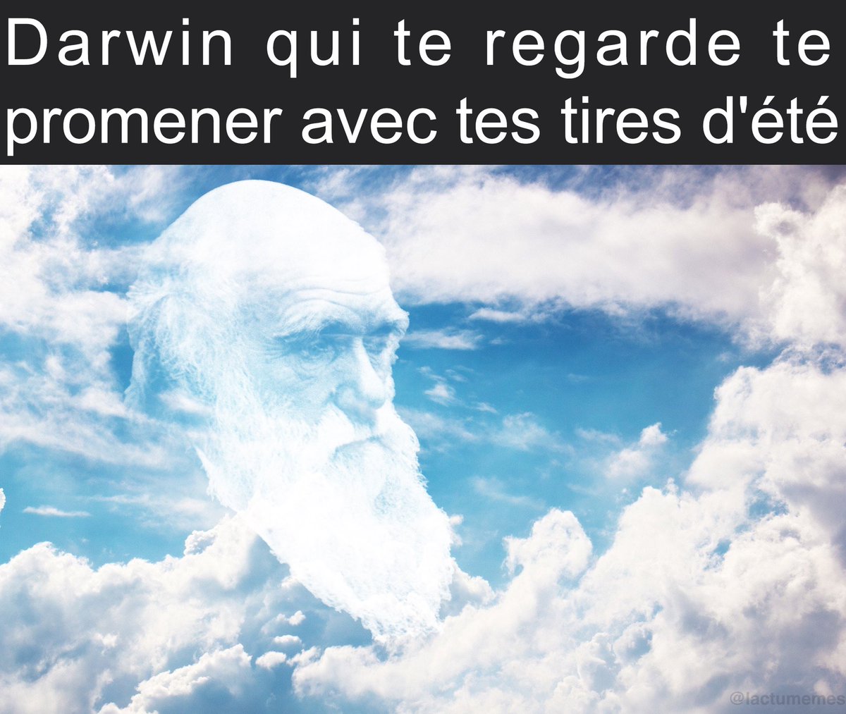 L’Actualité en mèmes (@lactumemes) on Twitter photo 