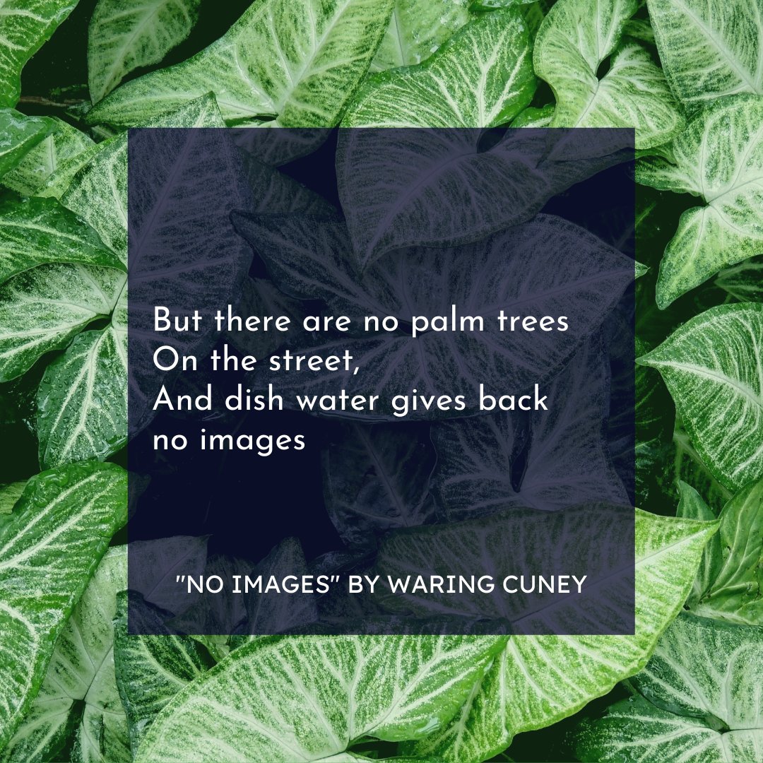 CSCleve's tweet image. During my upcoming e-course BIPOC pilgrims will discover how the Black Madonna’s Black and brown body speaks directly to our embodied experiences in the world. I hope you&apos;ll join me on this sacred pilgrimage! 

christenacleveland.com/pilgrimage