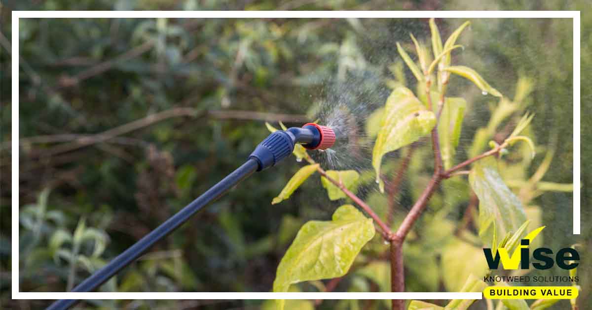 If you suspect Japanese knotweed is affecting your property then give us a call for help and advice. Our trained and qualified surveyors are based all across the country so rest assured that we will have a local branch near you.