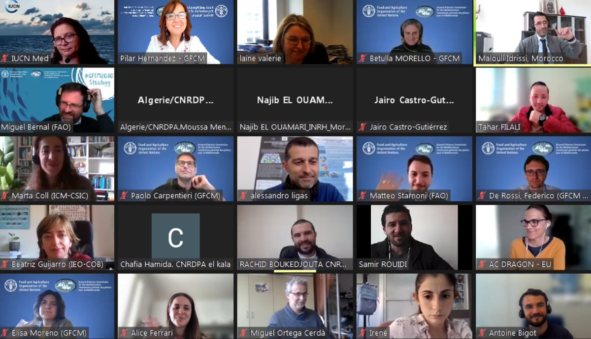 UN_FAO_GFCM's tweet photo. The 4⃣-day #GFCM_SRC on #WestMed has just kicked off to discuss:
📌Outcomes of relevant technical activities for the management of fisheries in the western #Mediterranean
📌WGMSE session on small #pelagics in the Alboran Sea, Blackspot #seabream & common #dolphinfish #fisheries https://t.co/NE2UYRczp3