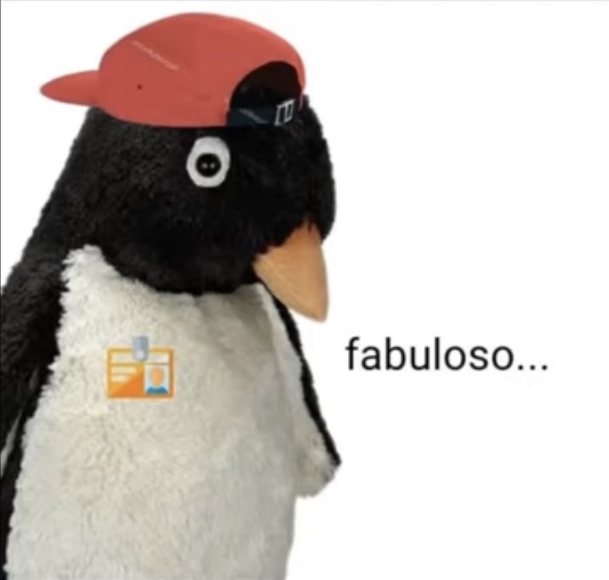 Wiki Caximbas tweet media