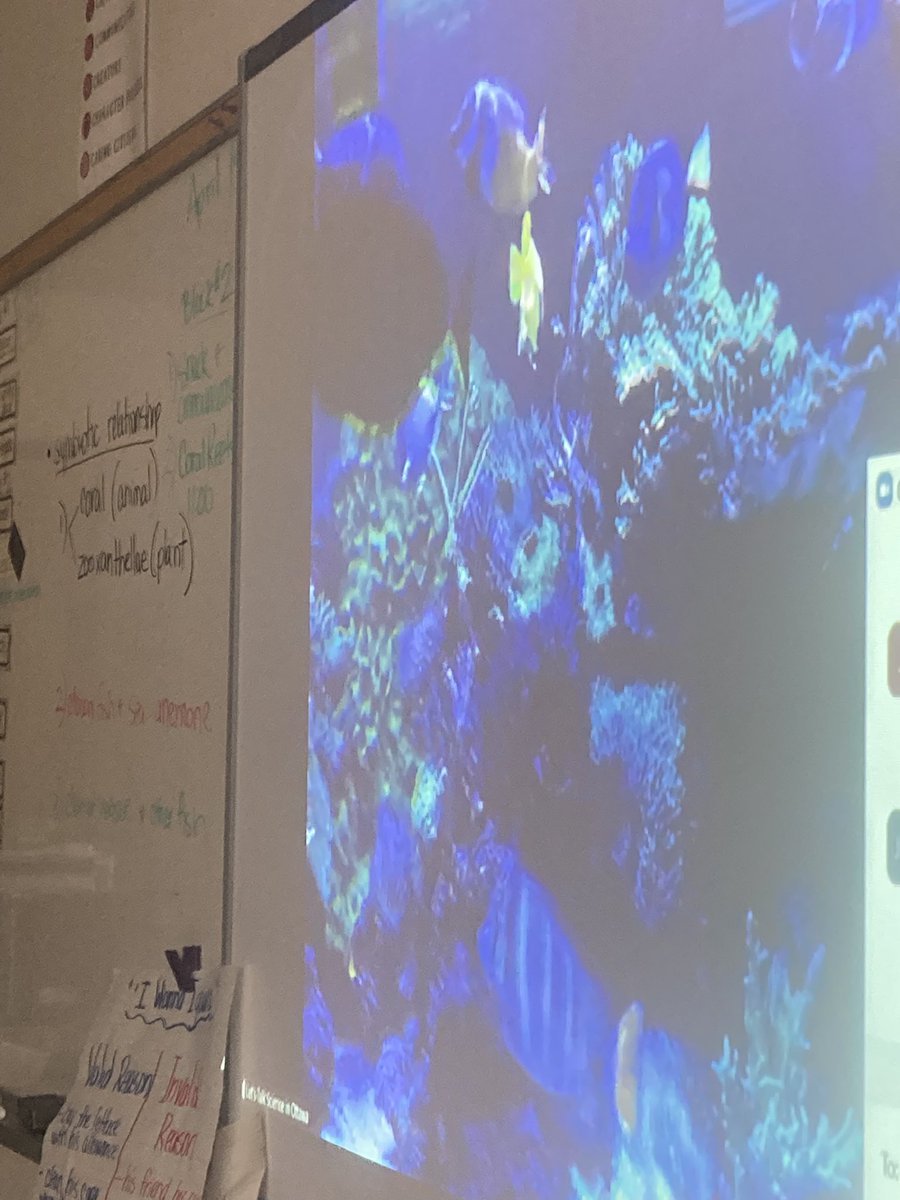 Mrs.Swan tweet media