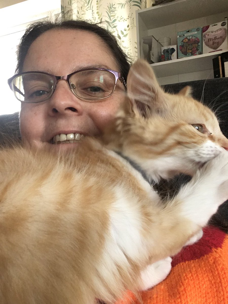 One happy JJ <a href="/GodsJoyCat/">JJ Pumpkin Pie Edible Cats Club</a> #CatsOfTwitter